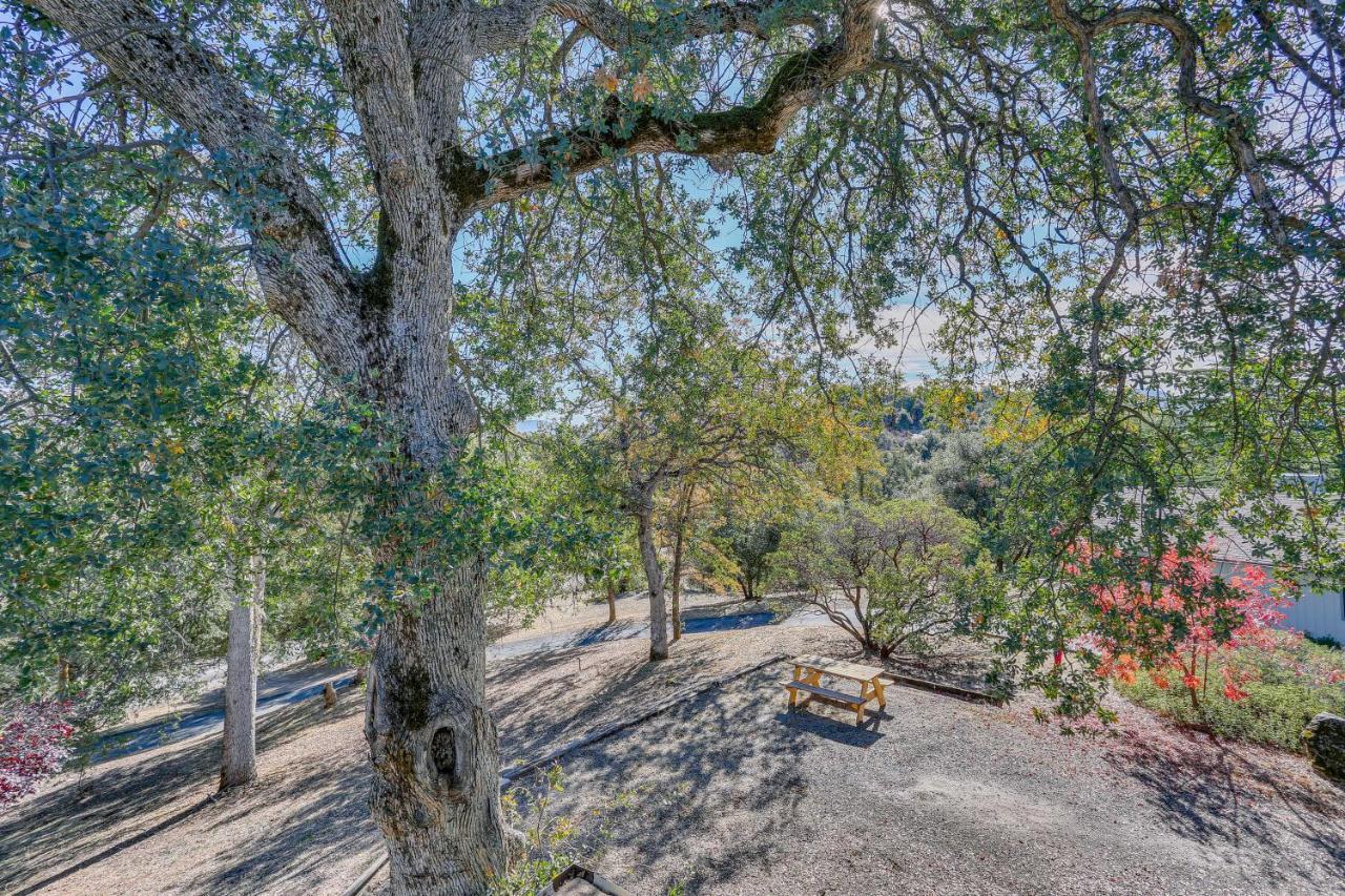 Cozy Studio With Well-Being Retreat Near Yosemite! Ahwahnee Exterior photo