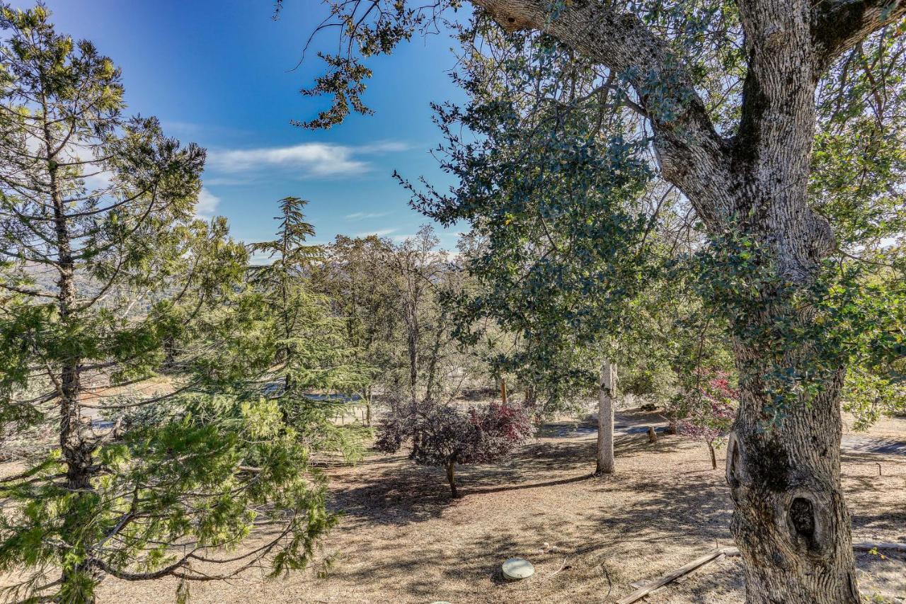Cozy Studio With Well-Being Retreat Near Yosemite! Ahwahnee Exterior photo