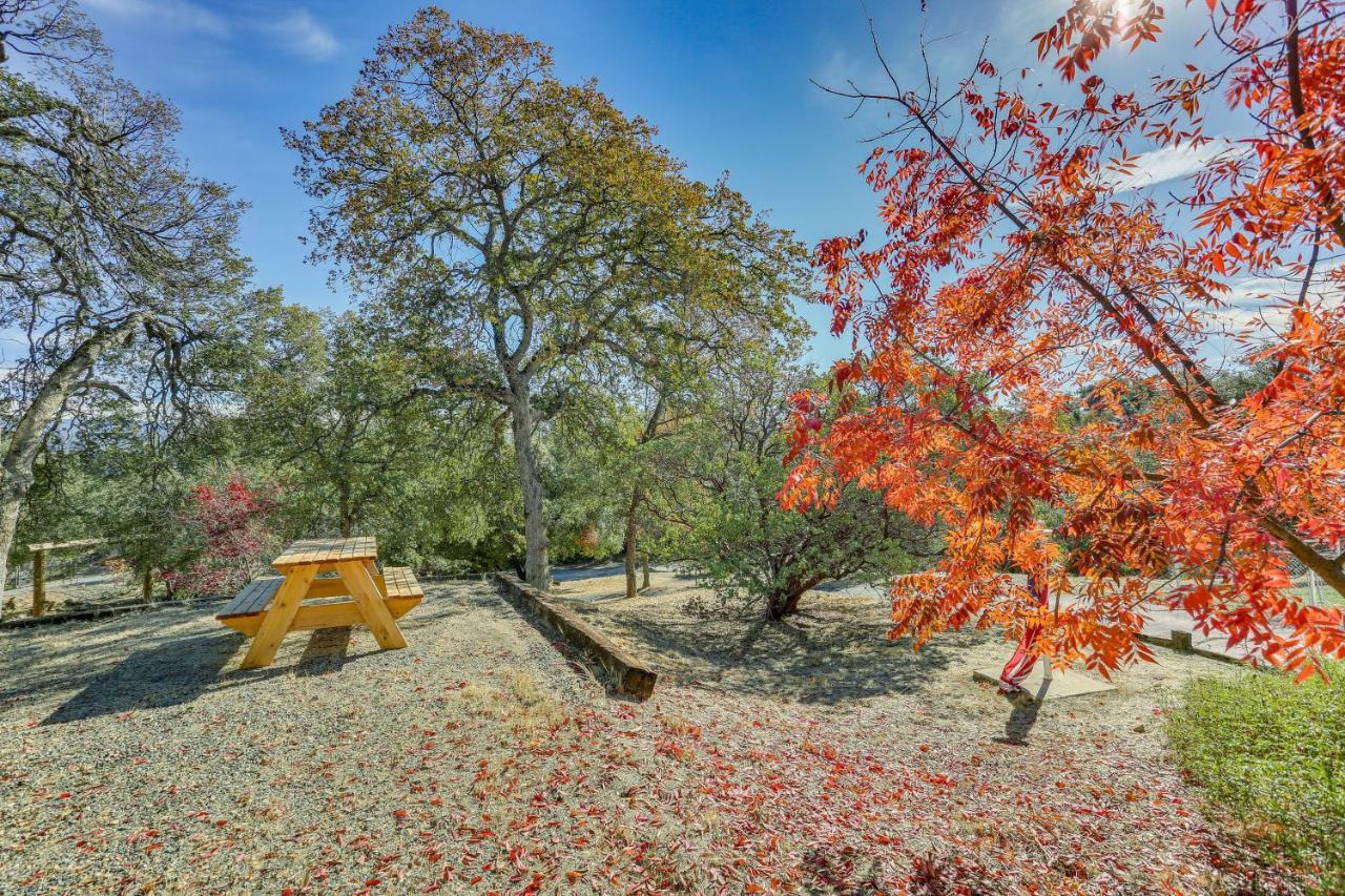 Cozy Studio With Well-Being Retreat Near Yosemite! Ahwahnee Exterior photo